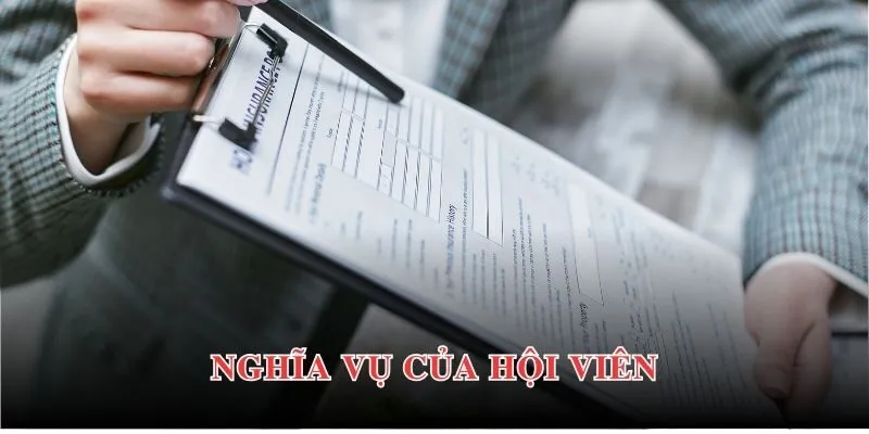 Điều Khoản Dịch Vụ PG88 3 Nghĩa vụ của hội viên trong quy định dịch vụ tại PG88