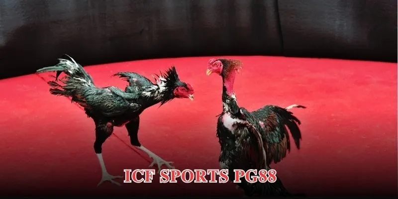 icf sports pg88