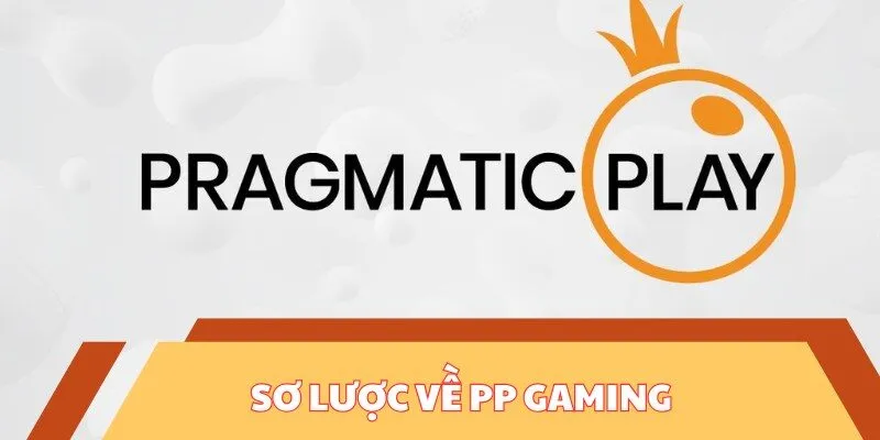 PP Gaming - Khám Phá Thế Giới Game Online Hấp Dẫn 2 Sơ lược về PP Gaming